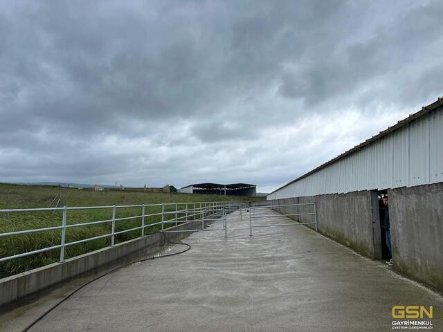 35-GSN GAYRİMENKUL'DEN AVRUPA STANDARTLARINDA RUHSATLI BESİÇİFTLİĞİ